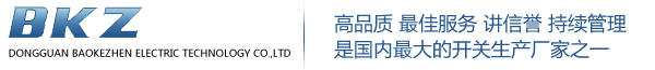 东莞宝克振LOGO